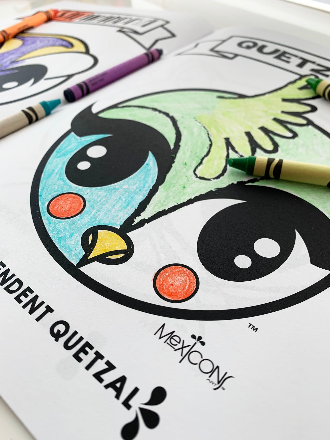 Mexicons Art Animals Coloring Book